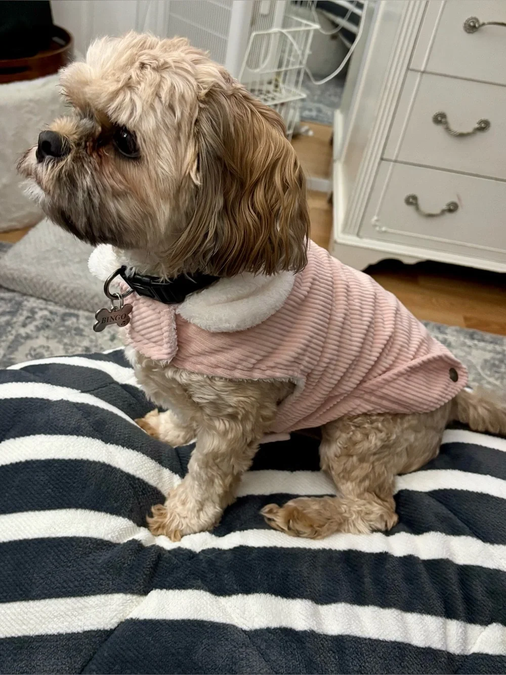 Cozy-Pink Corduroy Dog Coat with Faux Fur Collar